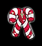 Christmas Flashing Badge - Candy Cane - Pack of 25