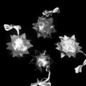 Squeeze N Flash Crystal Star Necklaces Pack of 24